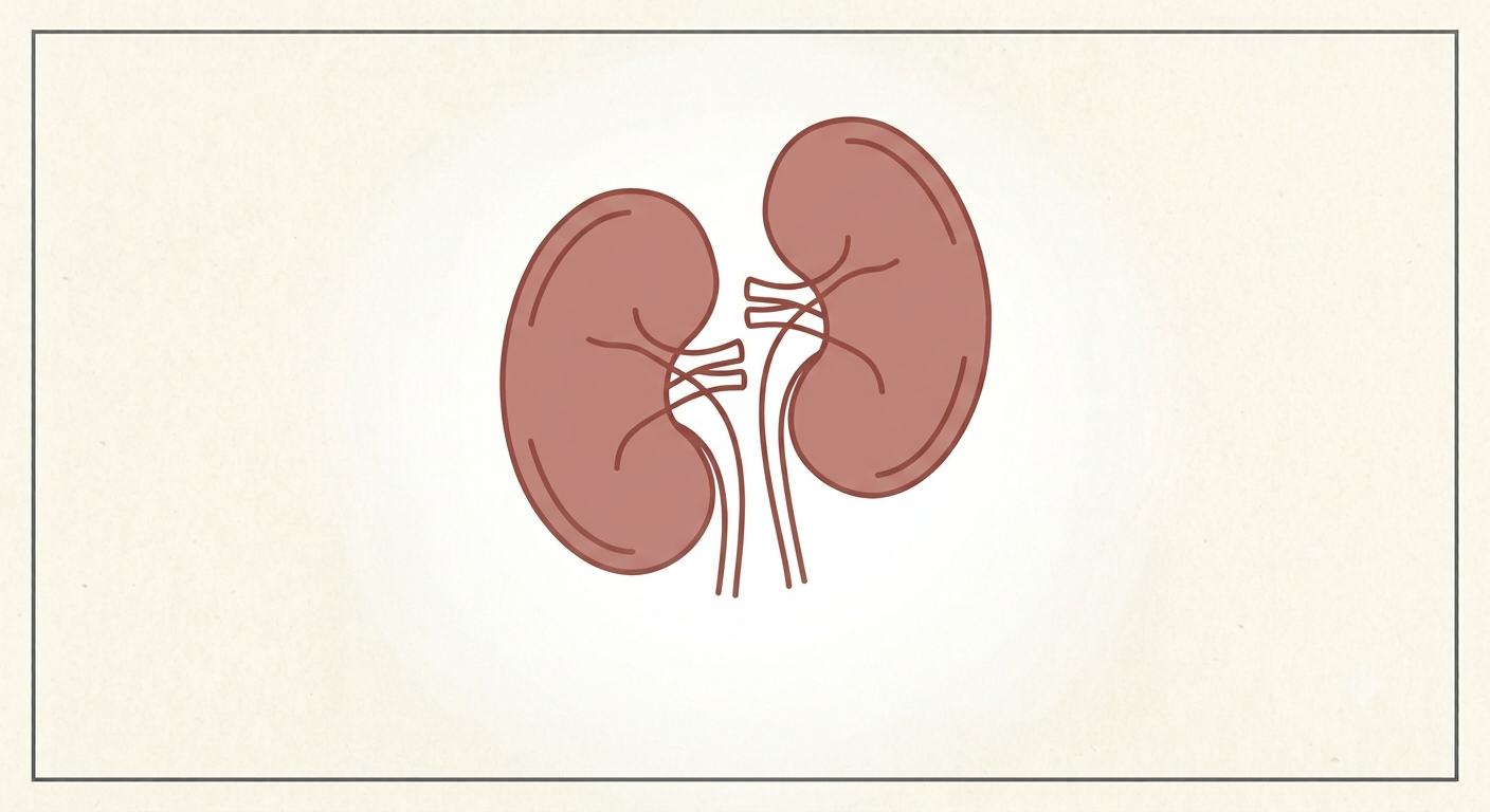 Renal Package