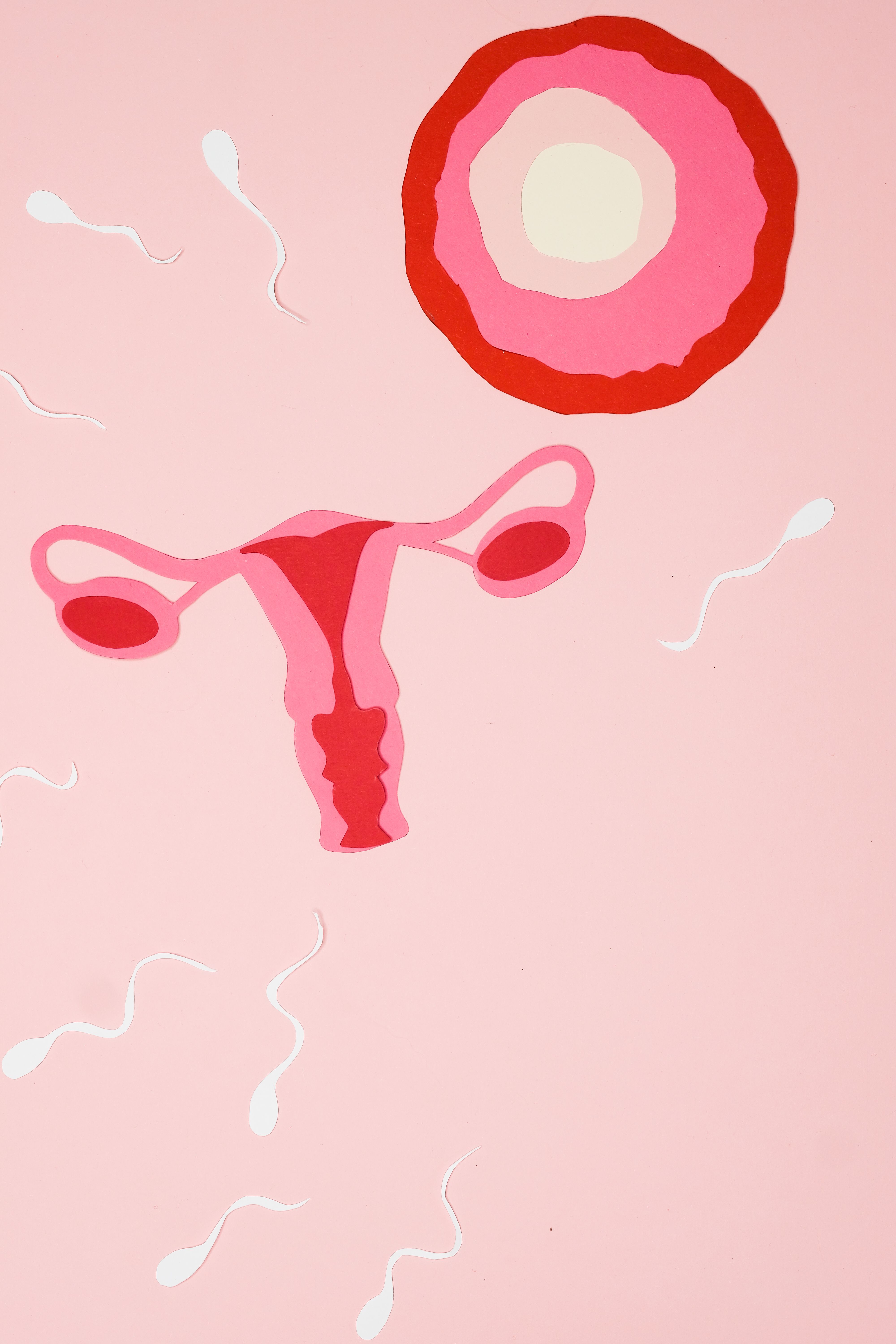 Infertility Package